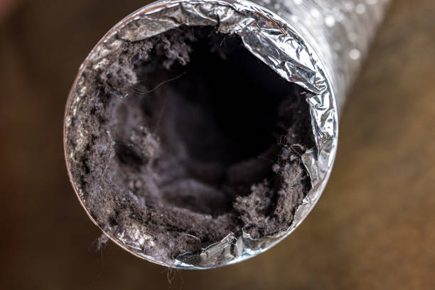 Best Local Air Duct Cleaning Services  in Booker, TX