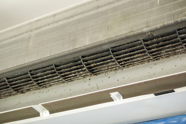 Best Ductwork Cleaning Services  in Booker, TX